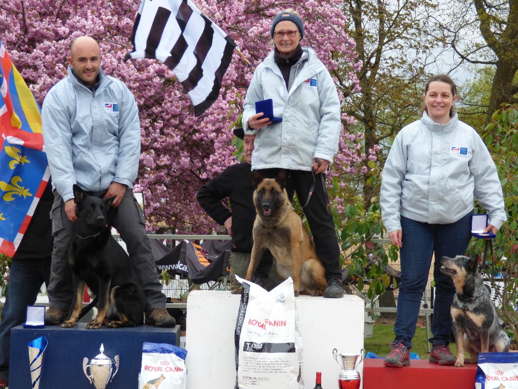 Grand Prix de France de RCI