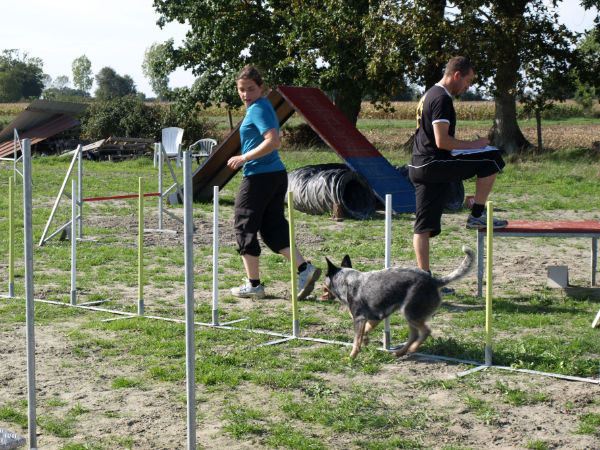 agility CF Bak